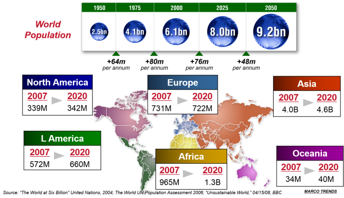 supply chain 2020