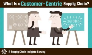 customer-centric-survey-mini